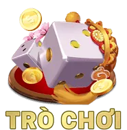 Ưu Đãi Hậu Hĩnh